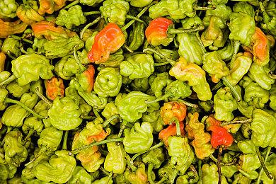 《霍格沃茨之遗》获得成功后 华纳想做更多魔法世界游戏